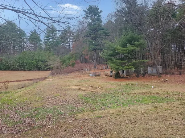 a view of dirt yard with a tree
