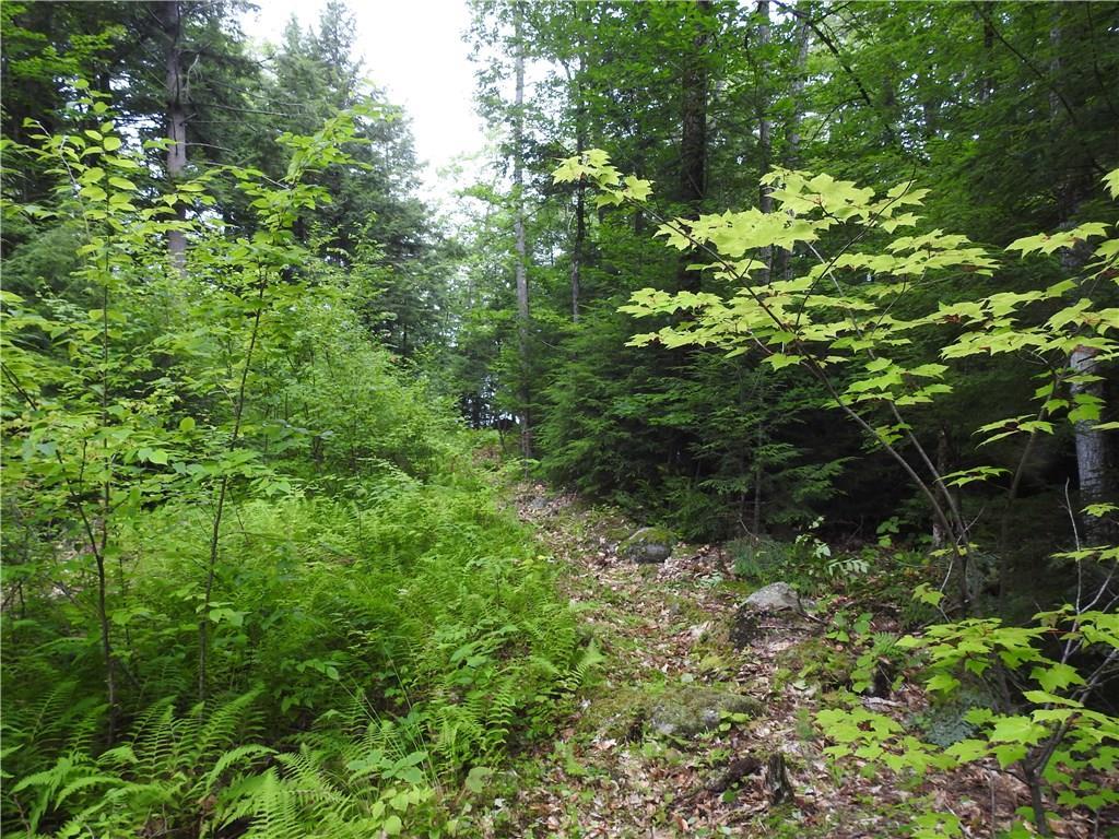 Lot 10 Monica Ridge Road Rome, ME 04963 - Photo 5 of 6 Photo