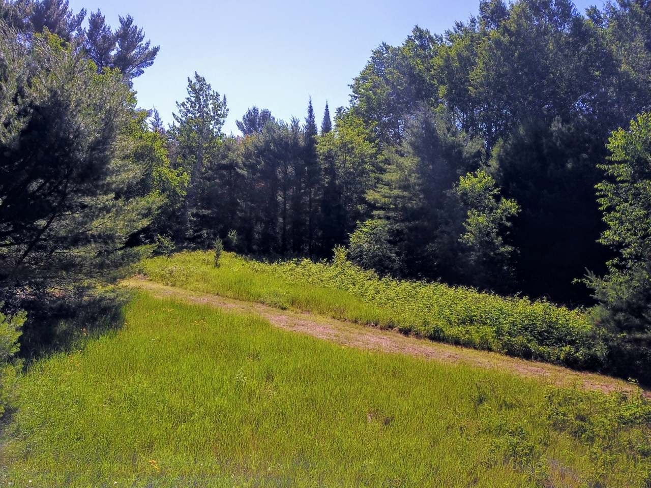 End Of Cholewinski Road Rhinelander, WI 54501 - Photo 18 of 21 Gallery Image 18