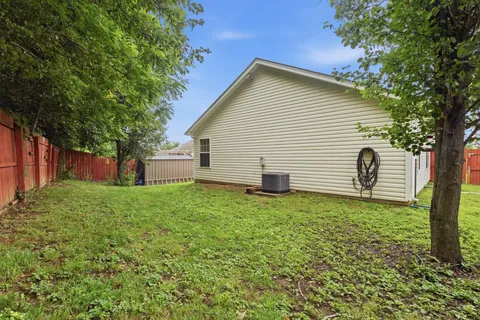 a view of a backyard with plants and a large tree