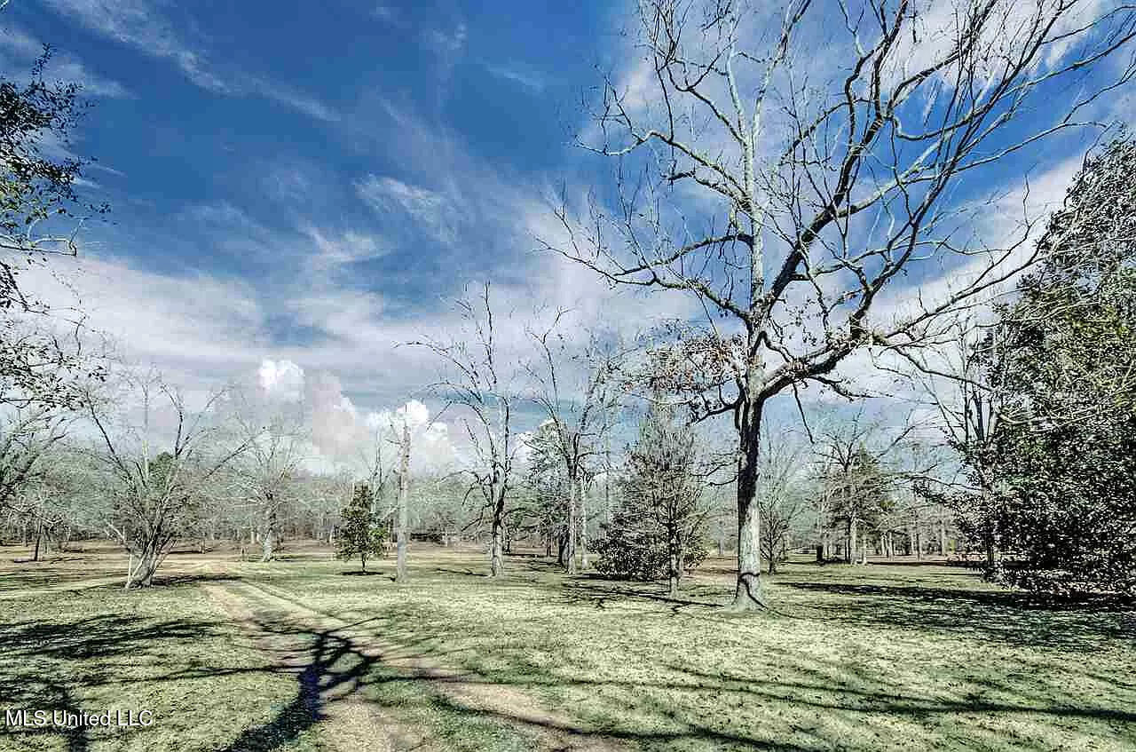 3521 McFarland Road Raymond, MS 39154 - Photo 2 of 15 2