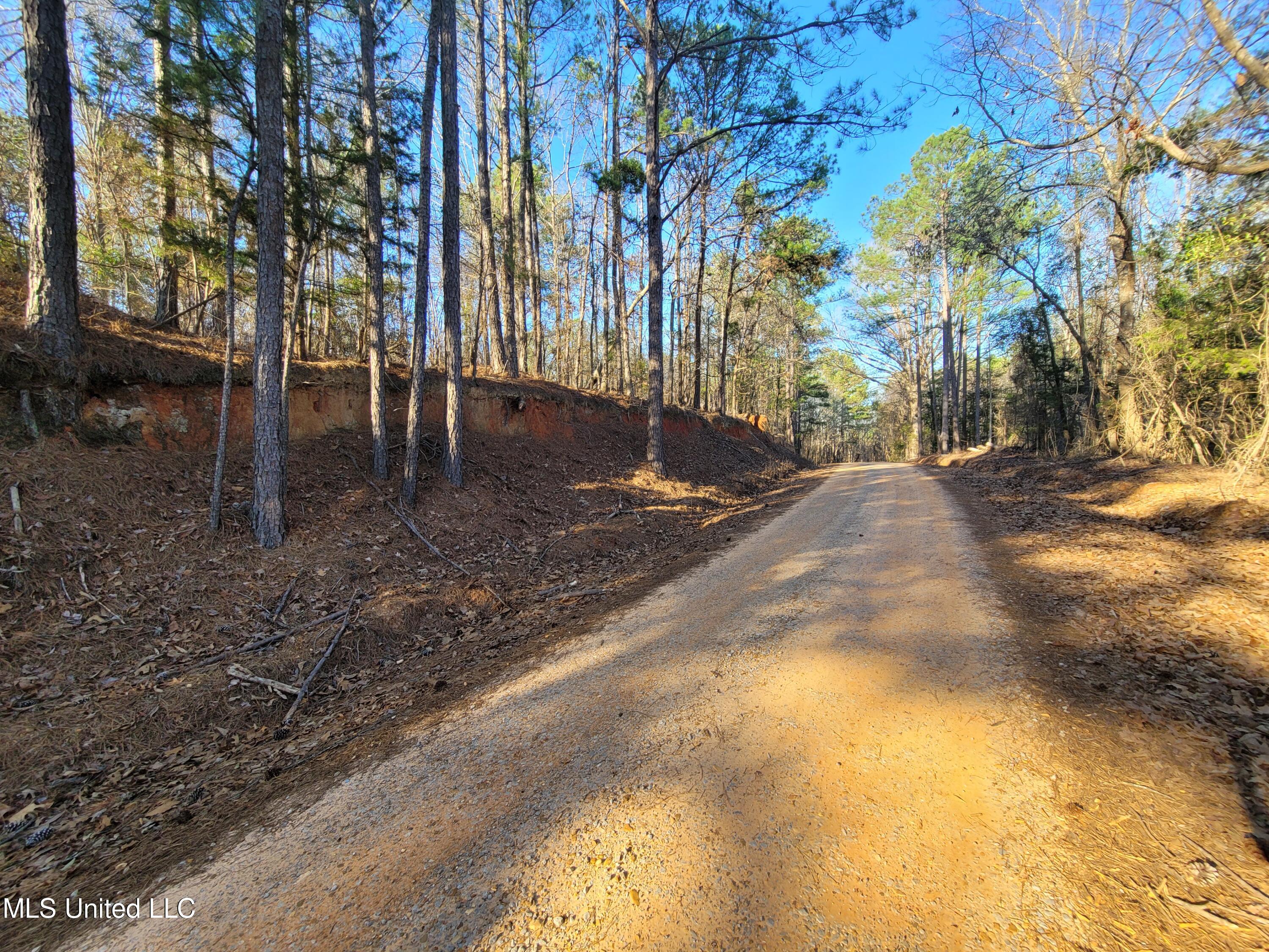 Fortune Trail Walnut Grove, MS 39189 - Photo 5 of 5 IMG_20240225_204606 (1)