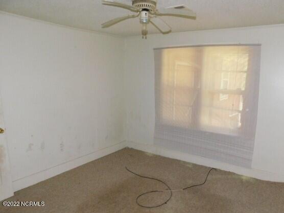 215 Seventh Street Ayden, NC 28513 - Photo 6 of 10 DSCN9061 (2)