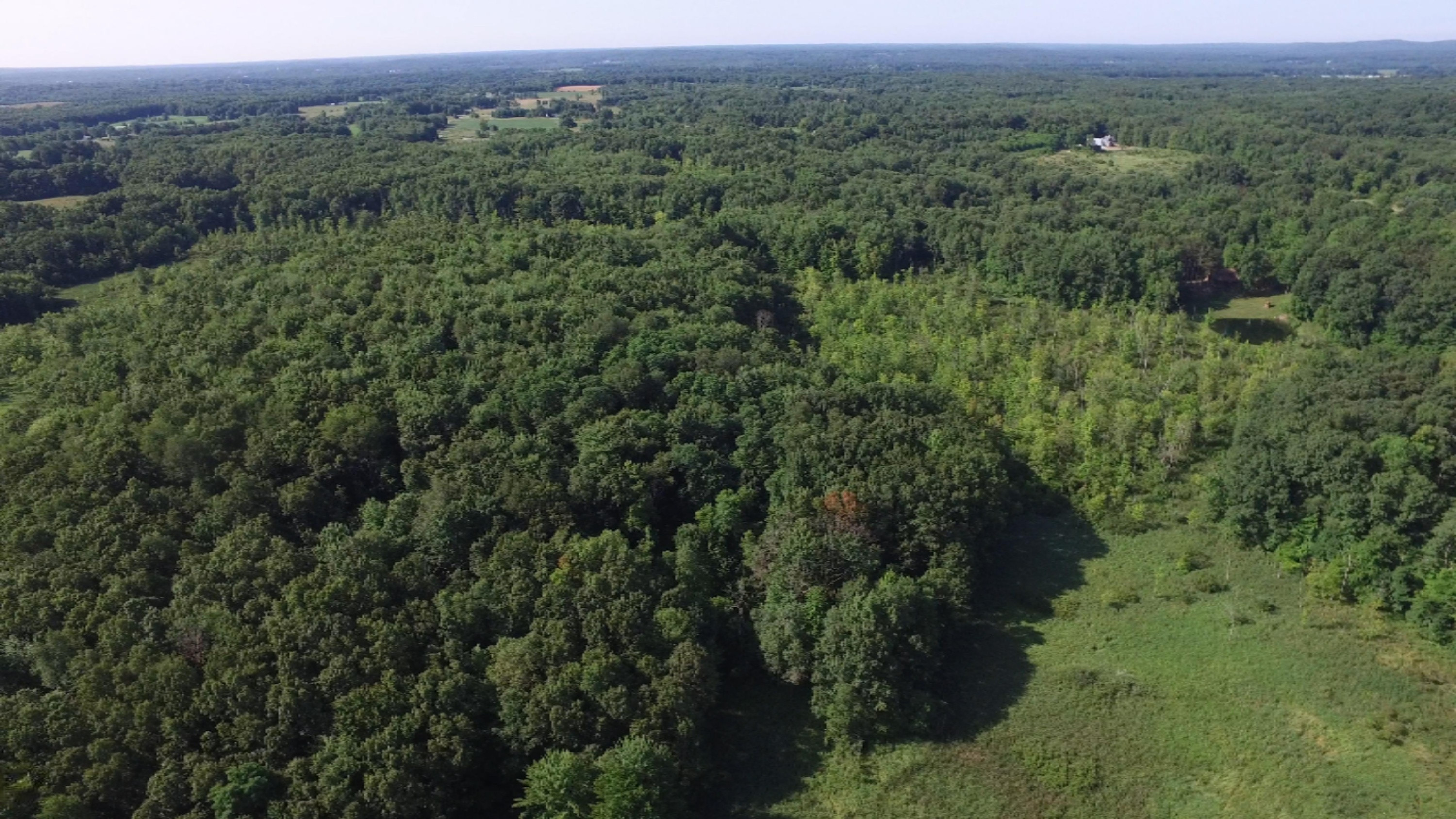 3661 Hammond Road Hastings, MI 49058 - Photo 50 of 78 DJI_0003d.00_09_08_05.Still010