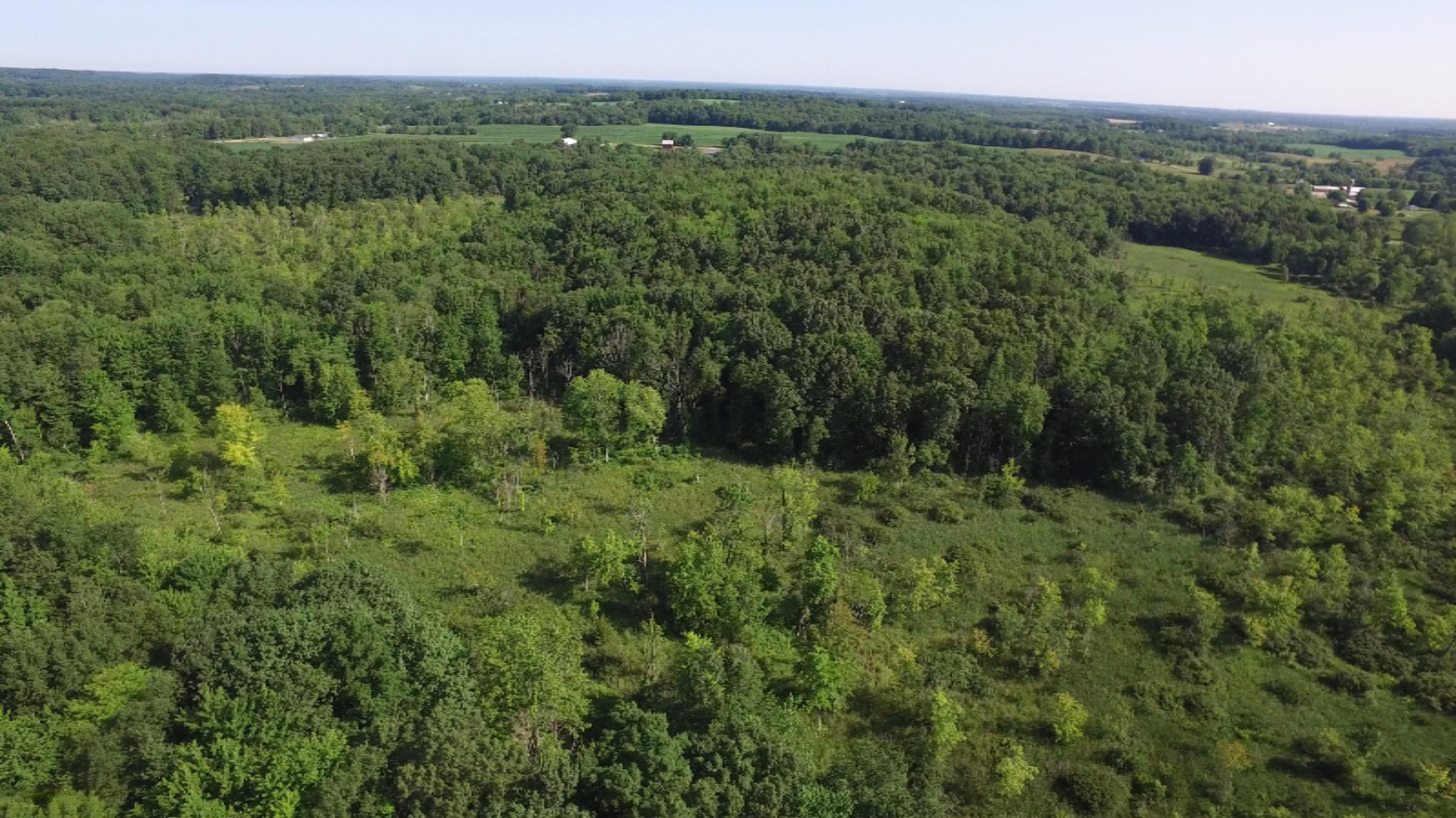 3661 Hammond Road Hastings, MI 49058 - Photo 53 of 78 DJI_0003d.00_11_07_22.Still013