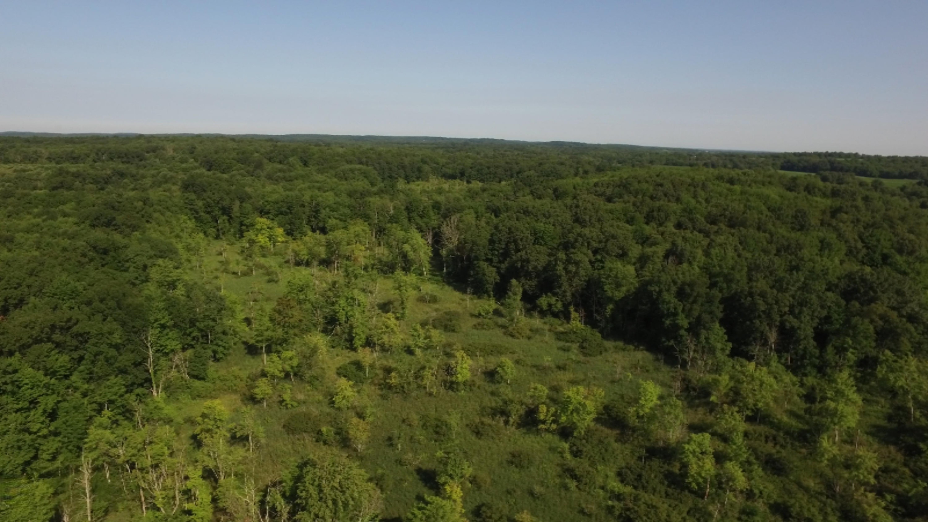 3661 Hammond Road Hastings, MI 49058 - Photo 54 of 78 DJI_0003d.00_13_53_16.Still014