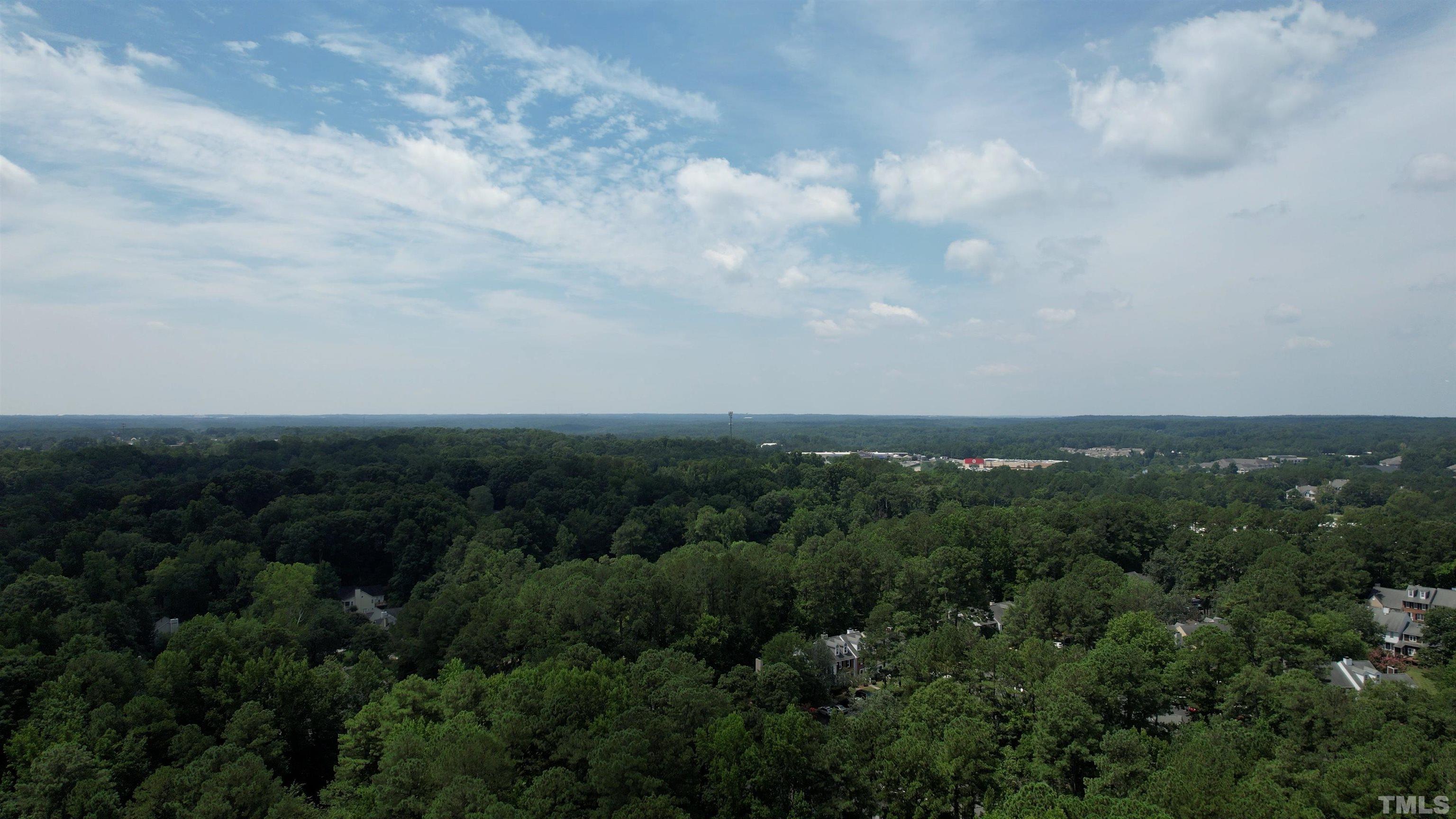 7008 Sandringham Drive Raleigh, NC 27613 - Photo 52 of 52 an aerial view of residential building and trees