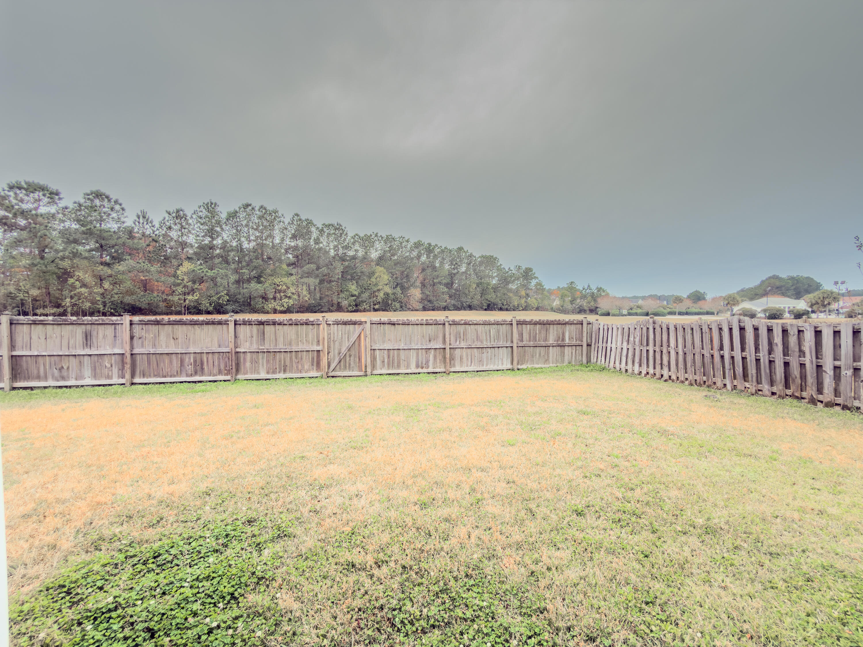 440 Dovetail Circle Summerville, SC 29483 - Photo 29 of 29 IMG_1044