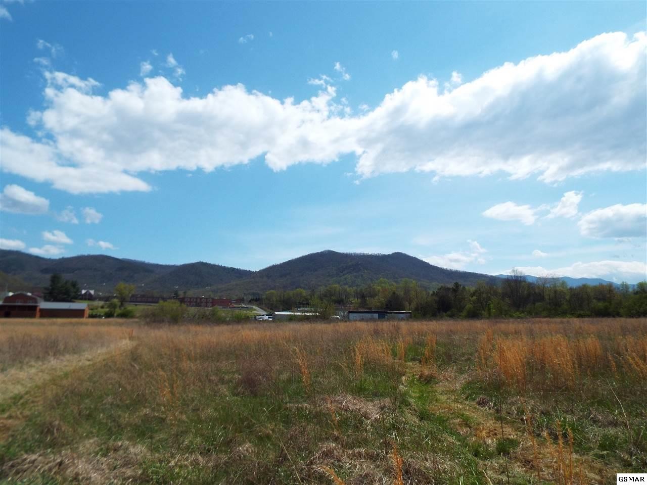 8 Padgett Mill Road Cosby, TN 37722 - Photo 11 of 14 Gallery Image 11