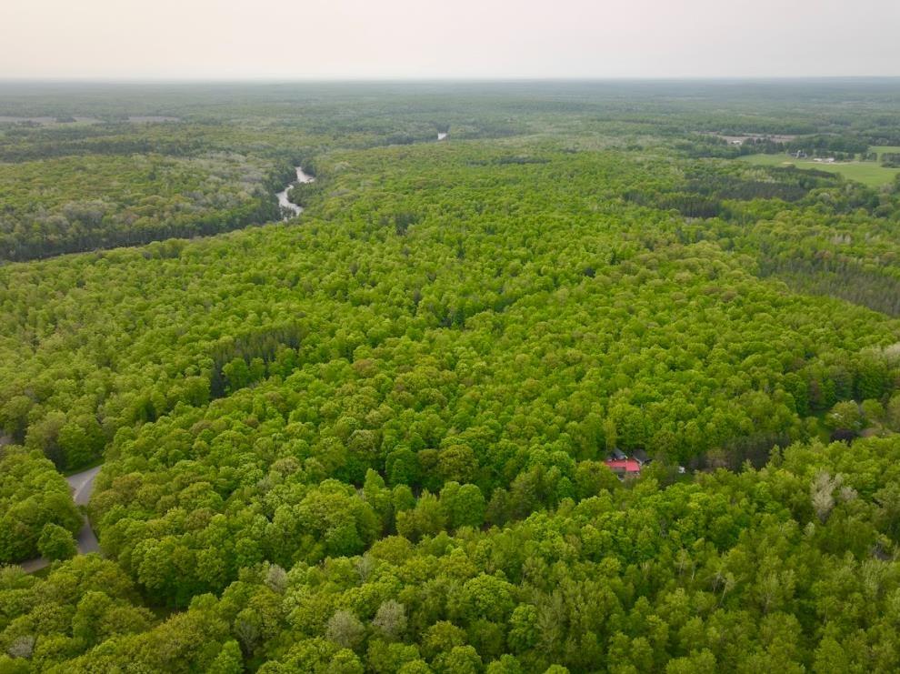 0 Buettner Road White Lake, WI 54491 - Photo 3 of 10 Gallery Image 3