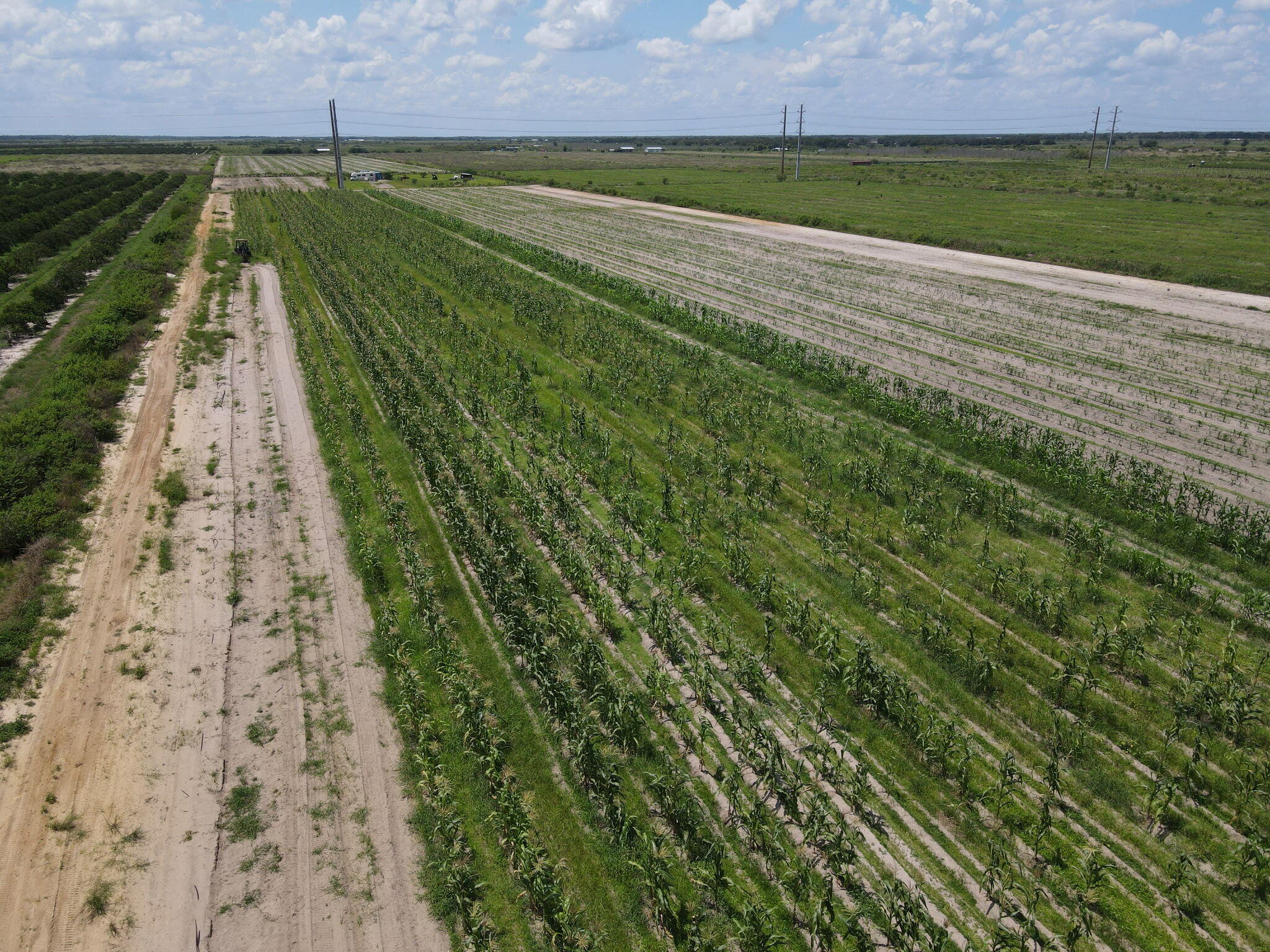 6694 5th Road LaBelle, FL 33935 - Photo 7 of 13 dji_fly_20260814_123512_71_1786725341475