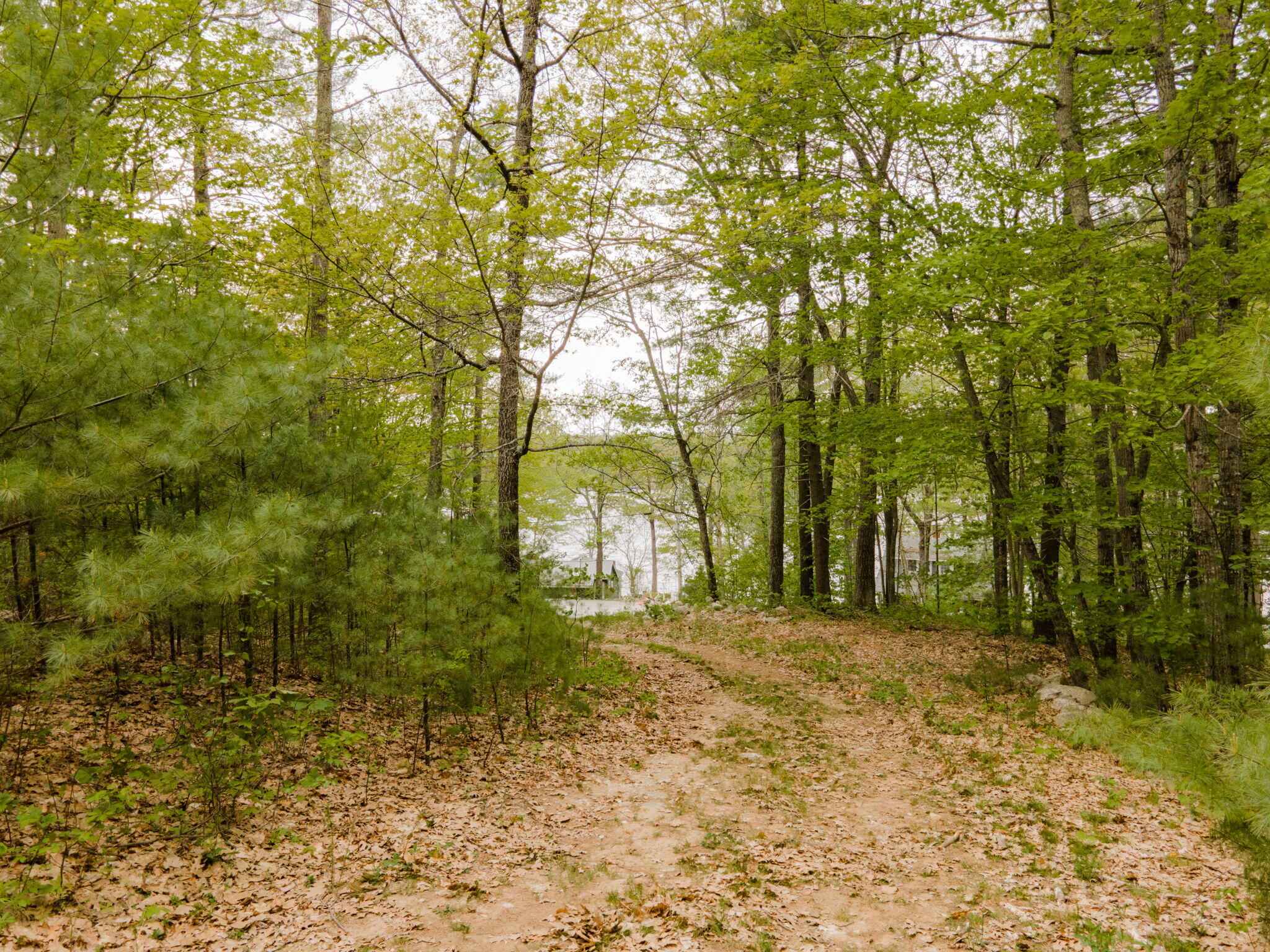 73 Birchwood Road Gray, ME 04039 - Photo 1 of 5 63-web-or-mls-DJI_0027