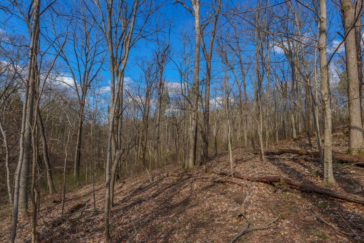 1 Camp Pleasant Road Frankfort, KY 40601 - Photo 24 of 67 053-2918-Cedar-Rd-Stamping-Ground-KY-403