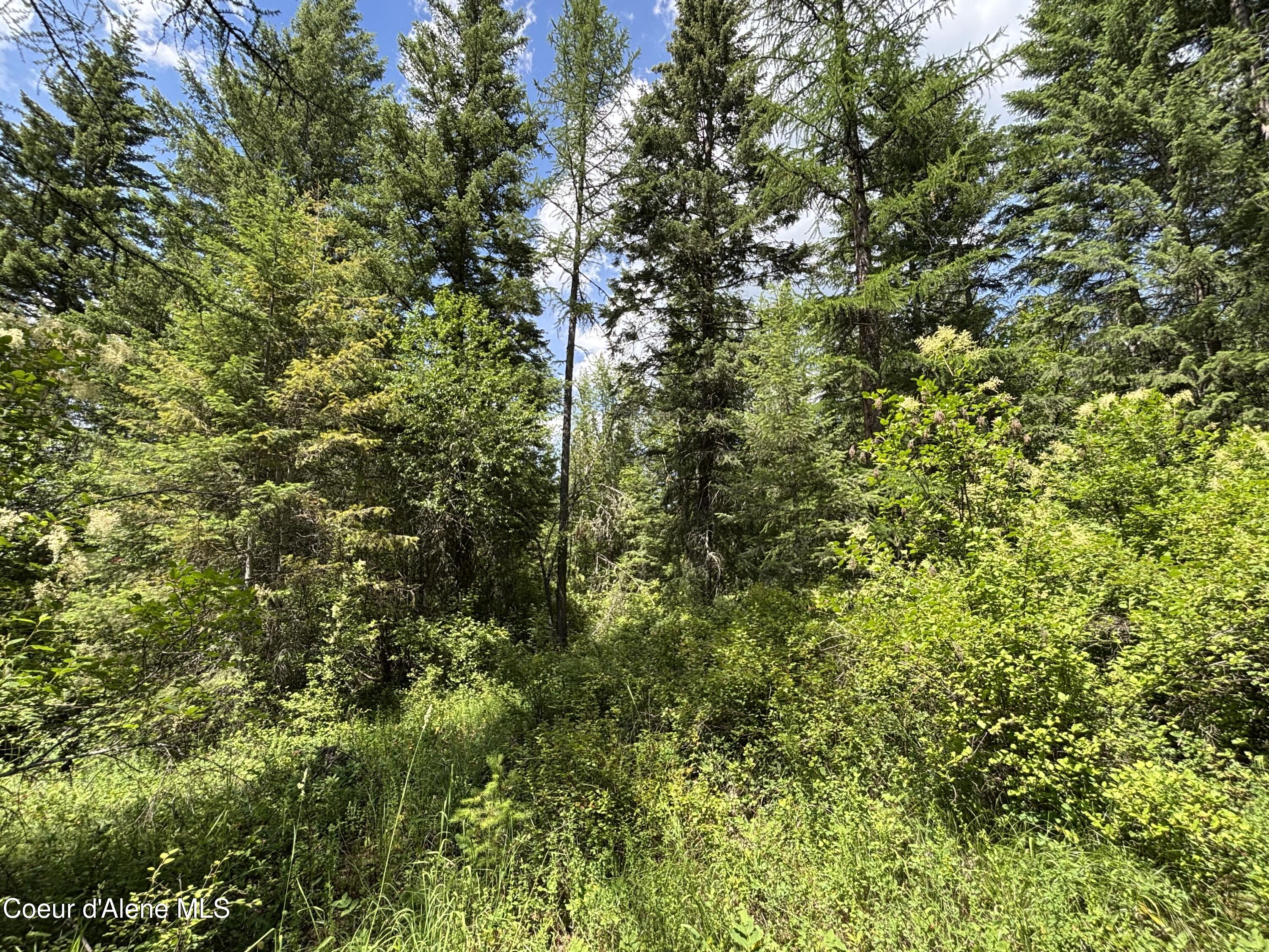 Nna Nna Road Cocolalla, ID 83813 - Photo 4 of 15 Summer 3