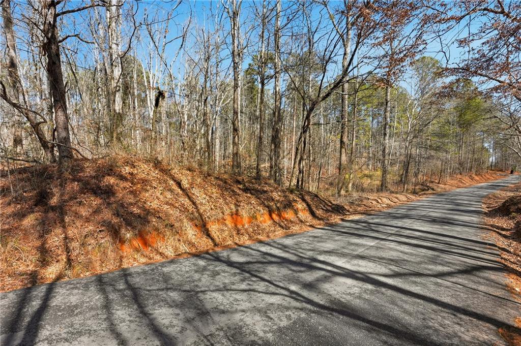 0 Pickett Bridge Road Covington, GA 30016 - Photo 1 of 22 a view of a yard