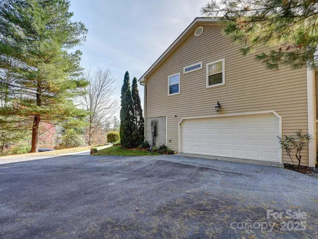 a view of a yard with plants and trees