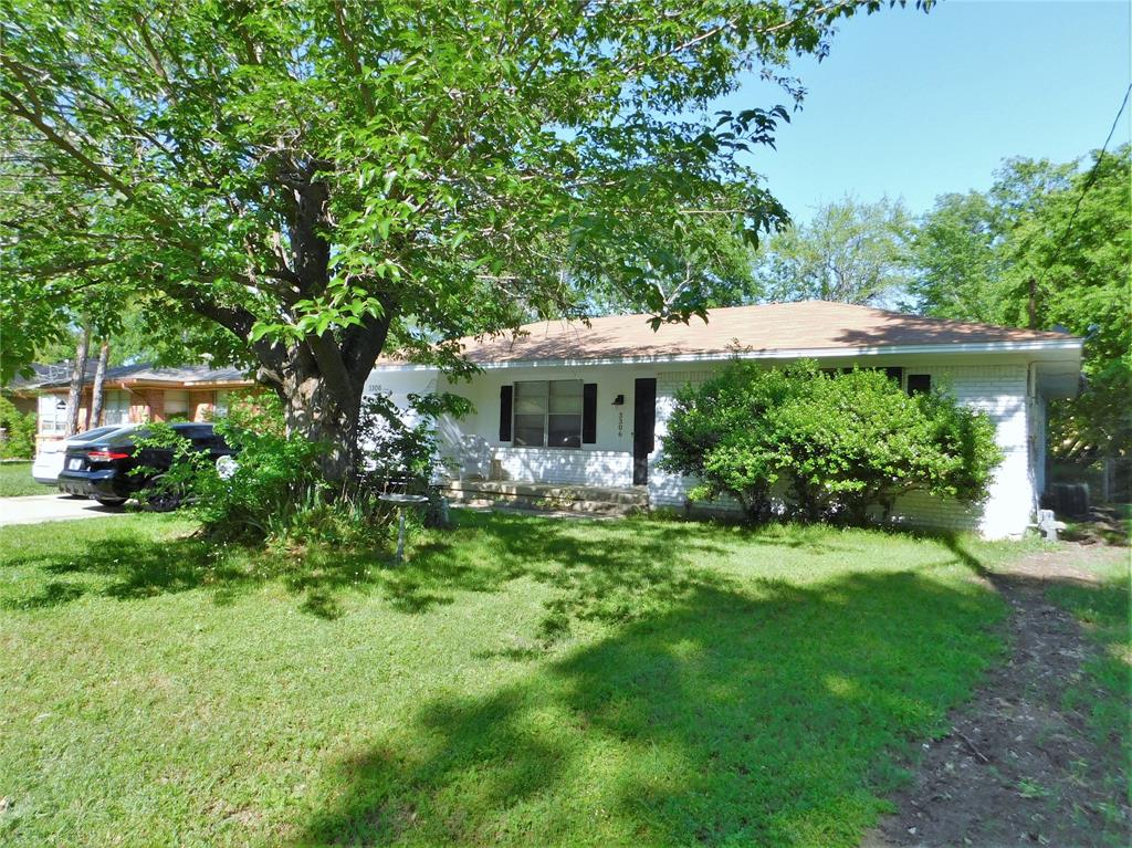 a view of a house with a yard potted plants and large trees