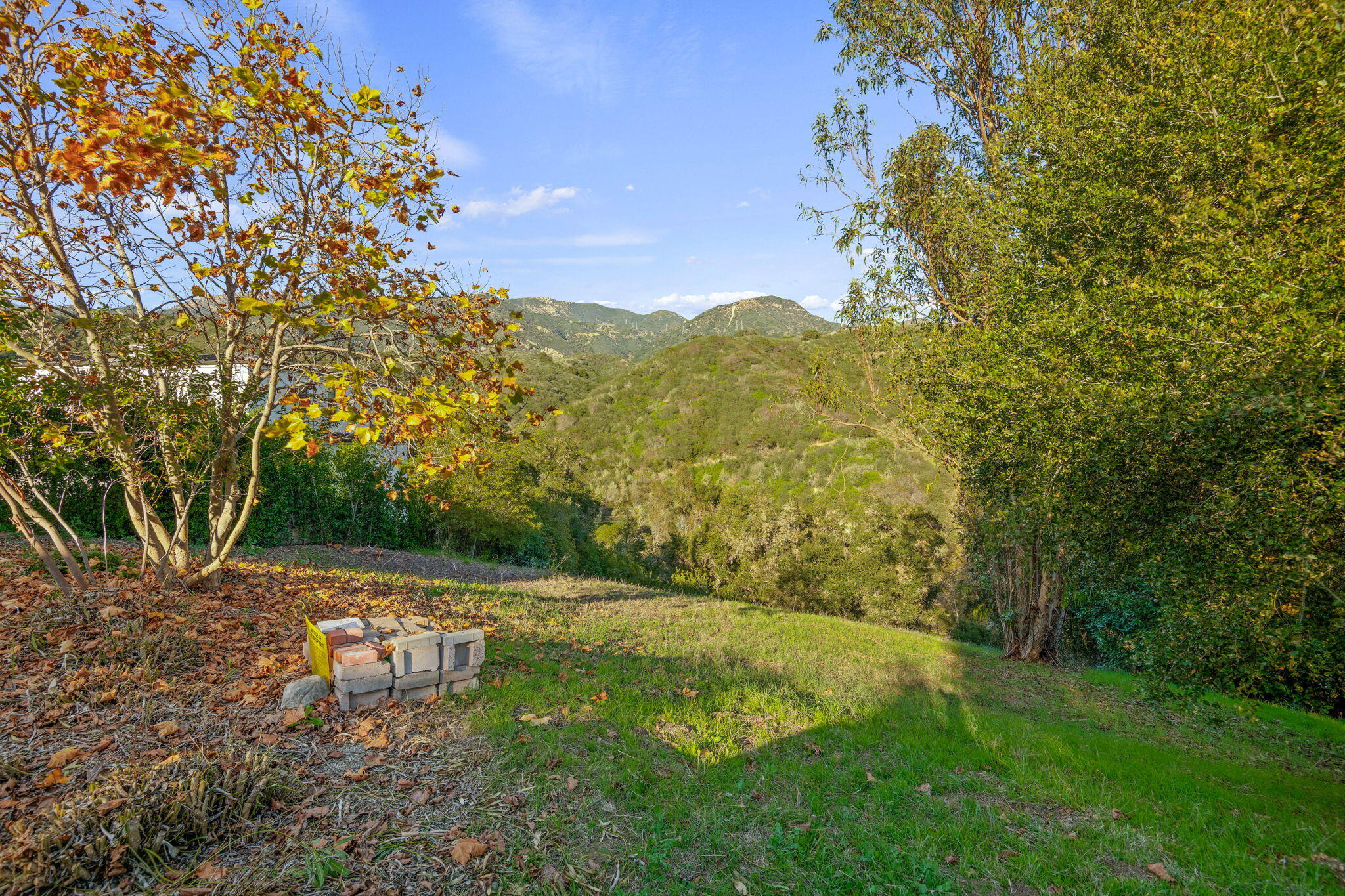 330 Sherman Road Santa Barbara, CA 93103 - Photo 4 of 13 a view of a back yard