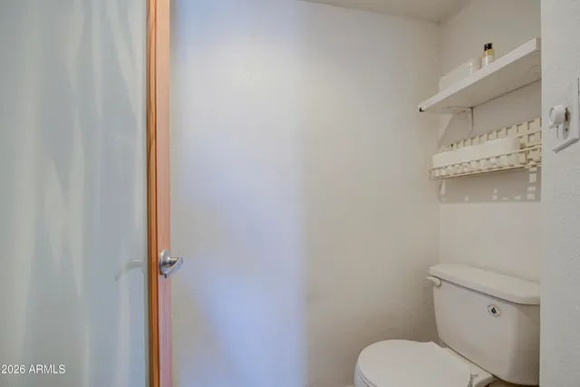 a white toilet sitting next to a shower curtain