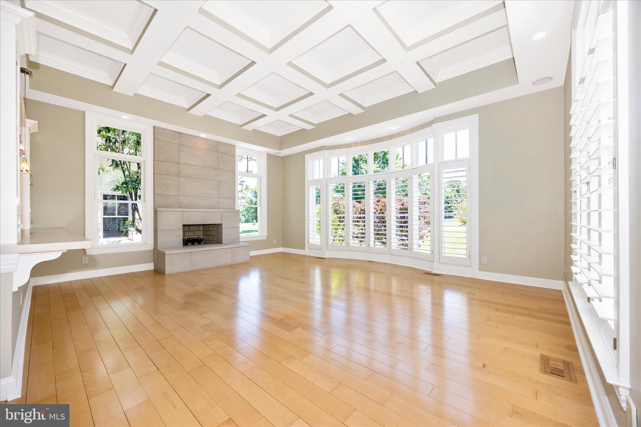 21612 Ripplemead Drive Gaithersburg, MD 20882 - Photo 11 of 129 Living Room w/ Fireplace
