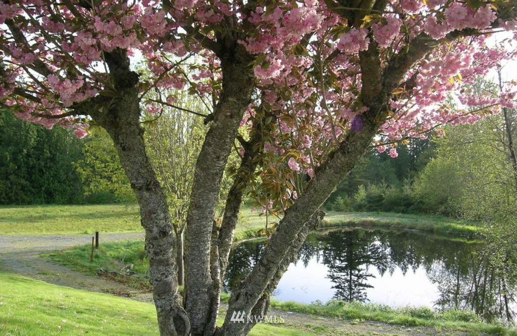 18526 Fales Road Snohomish, WA 98296 - Photo 1 of 24 Gallery Image 1