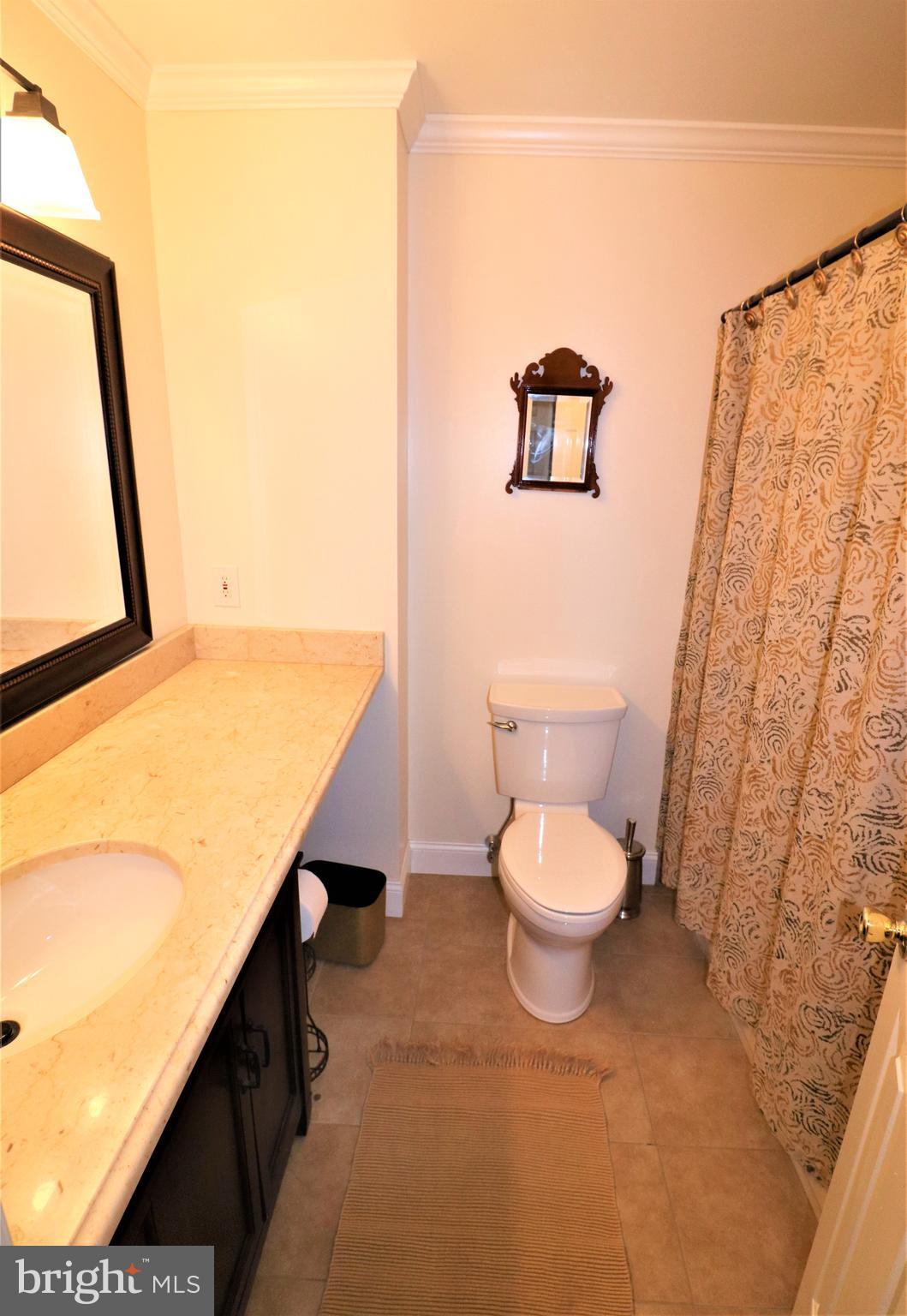 38 Sullivans Bridge Road Chesterbrook, PA 19087 - Photo 28 of 34 Gallery Image 28