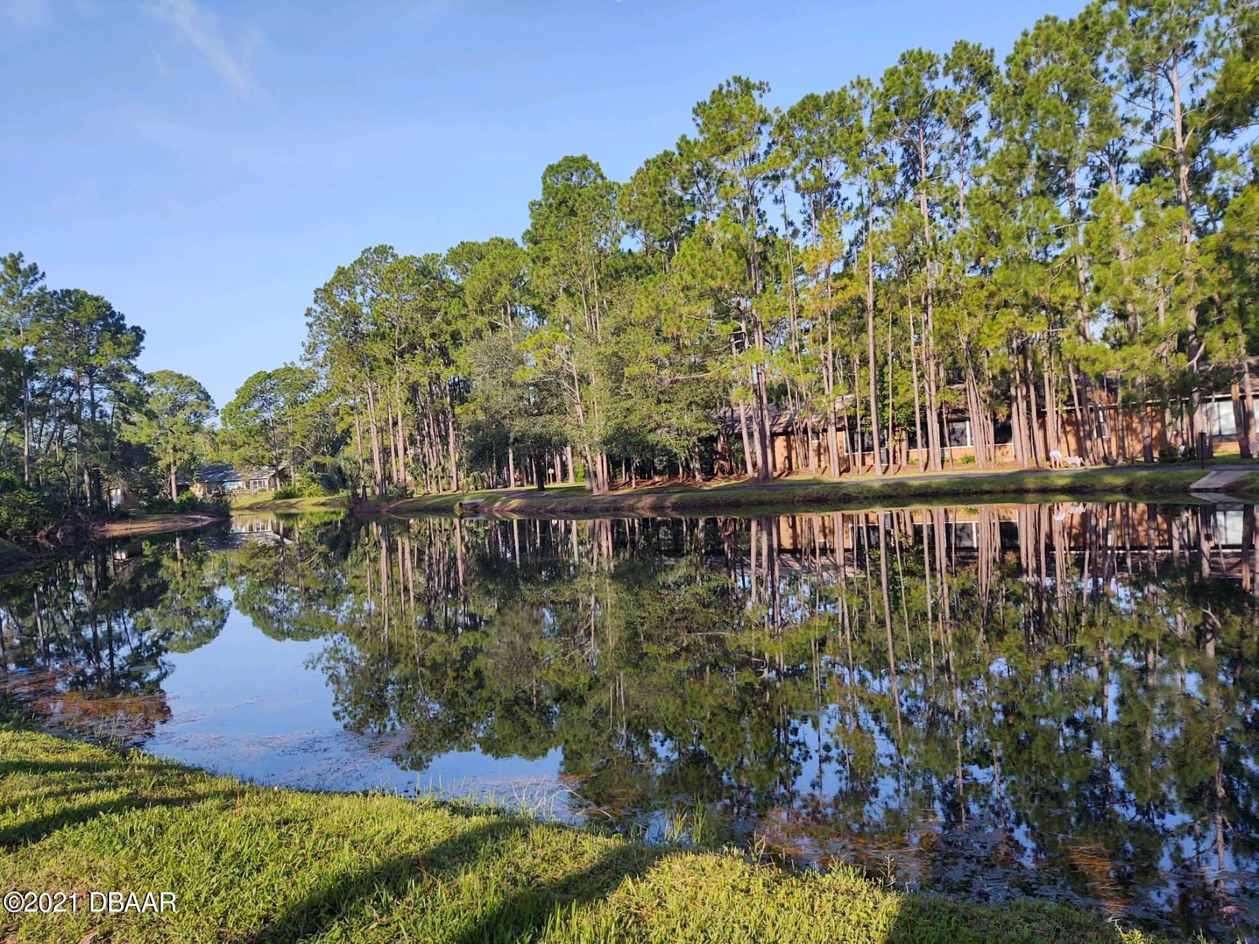 100 Rustic Pond Road Port Orange, FL 32128 - Photo 25 of 28 Large Pond