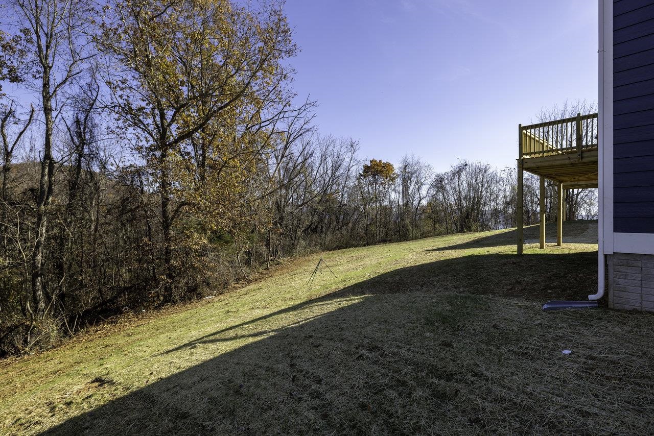 85 Springridge Lane Fairfield, VA 24435 - Photo 49 of 54 a view of a yard with an outdoor space