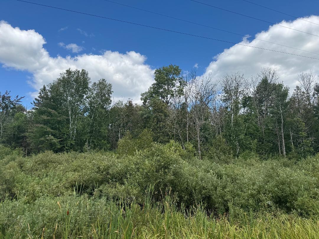4074 W Weber Road Mercer, WI 54547 - Photo 23 of 27 Gallery Image 23