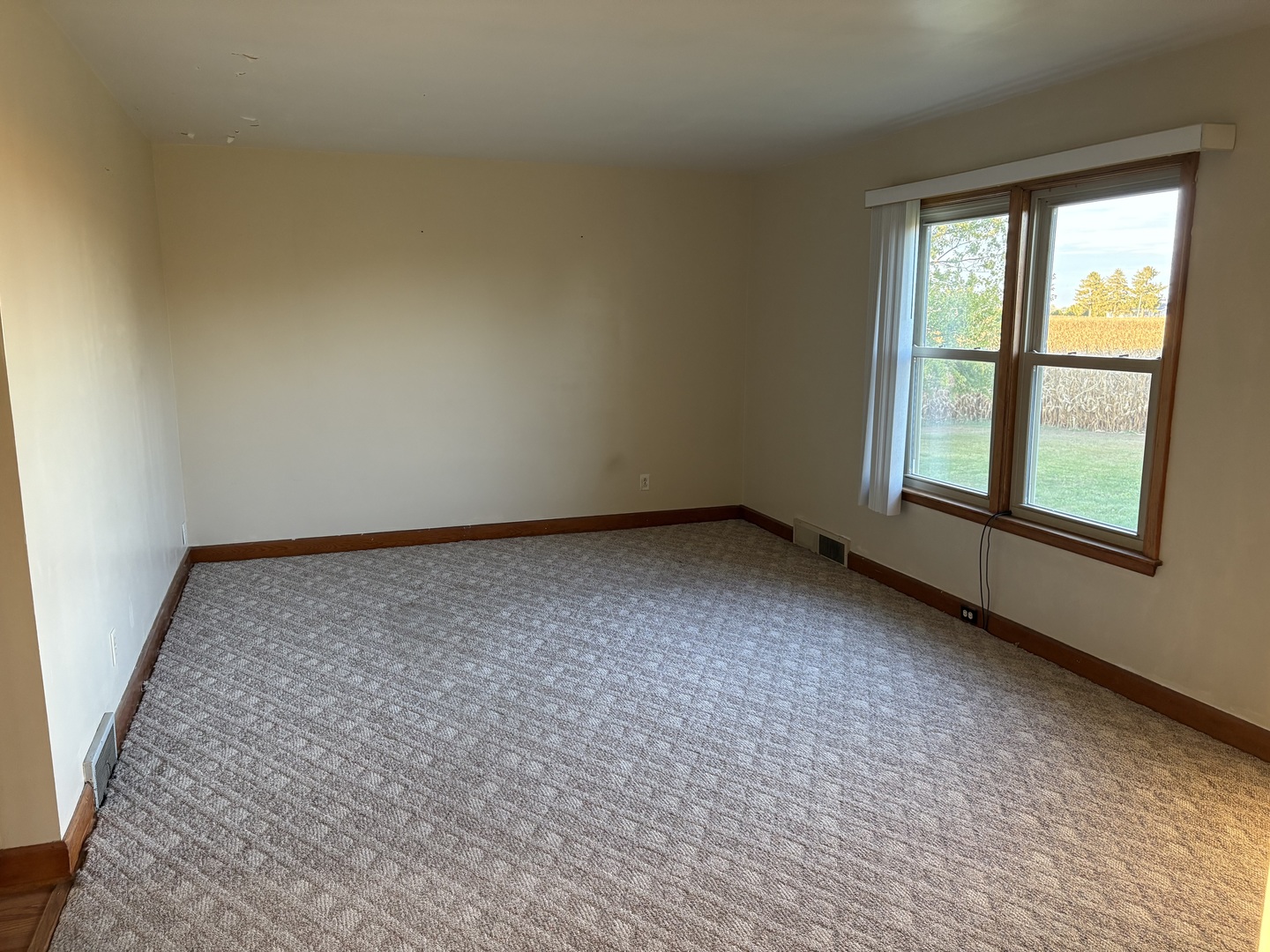 1151 Melugins Grove Road Compton, IL 61318 - Photo 11 of 62