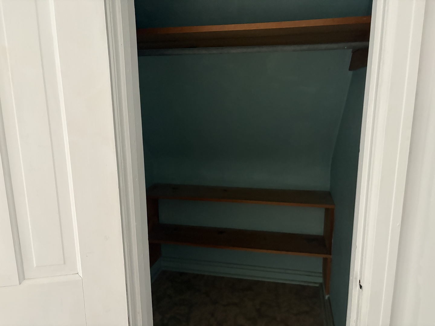 1151 Melugins Grove Road Compton, IL 61318 - Photo 28 of 62