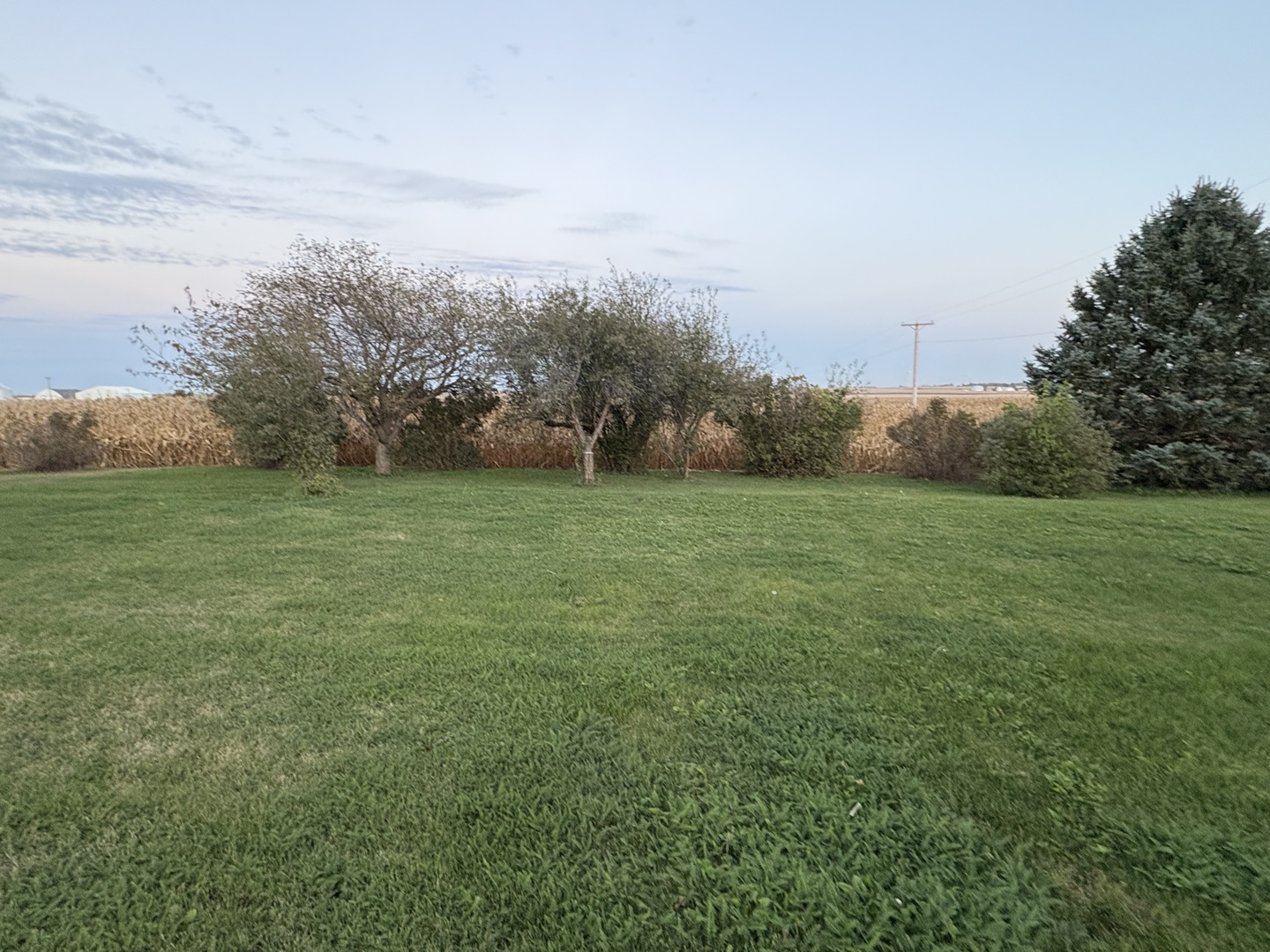 1151 Melugins Grove Road Compton, IL 61318 - Photo 51 of 62