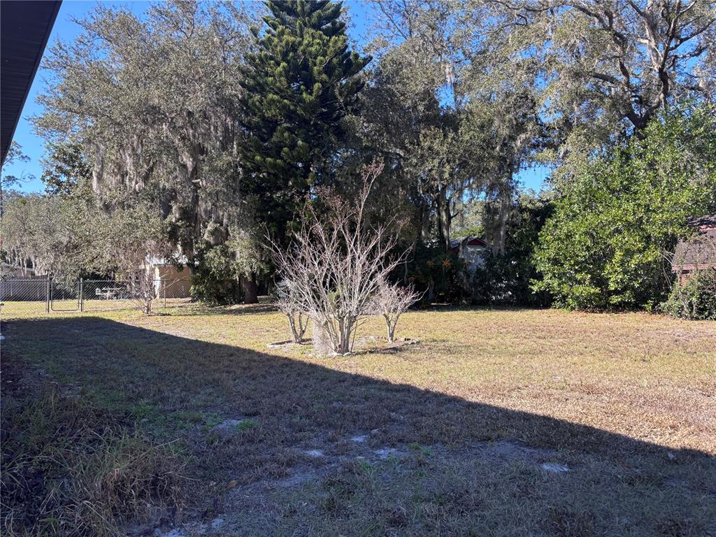 324 Alemander Avenue DeBary, FL 32713 - Photo 37 of 40 a view of ocean view with large trees