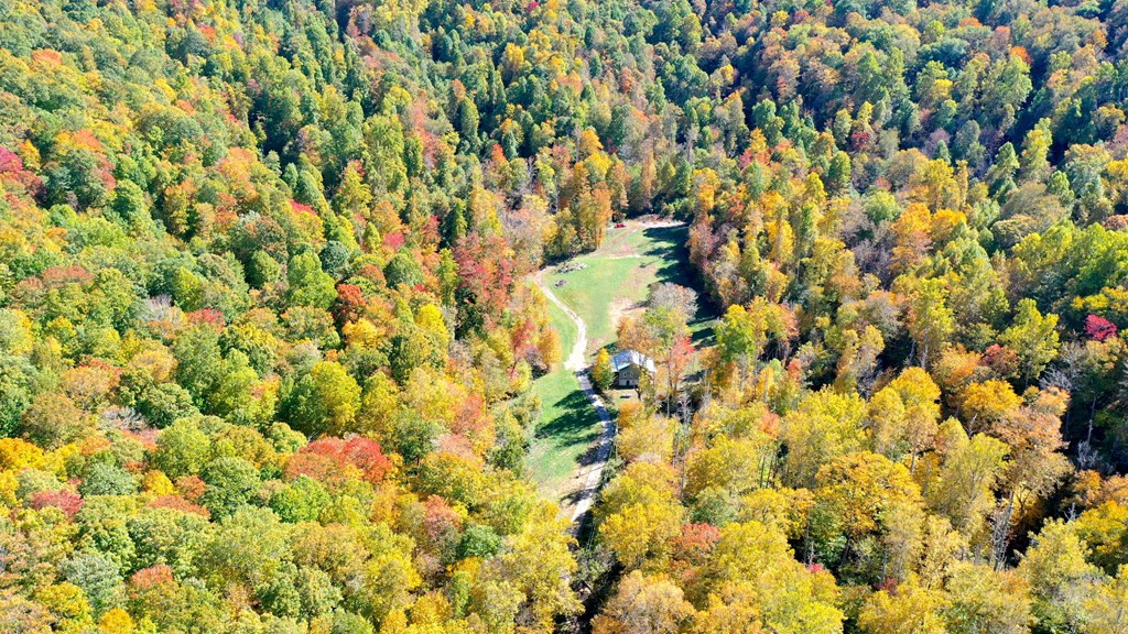 575 Vestal Cochran Road Topton, NC 28781 - Photo 36 of 53