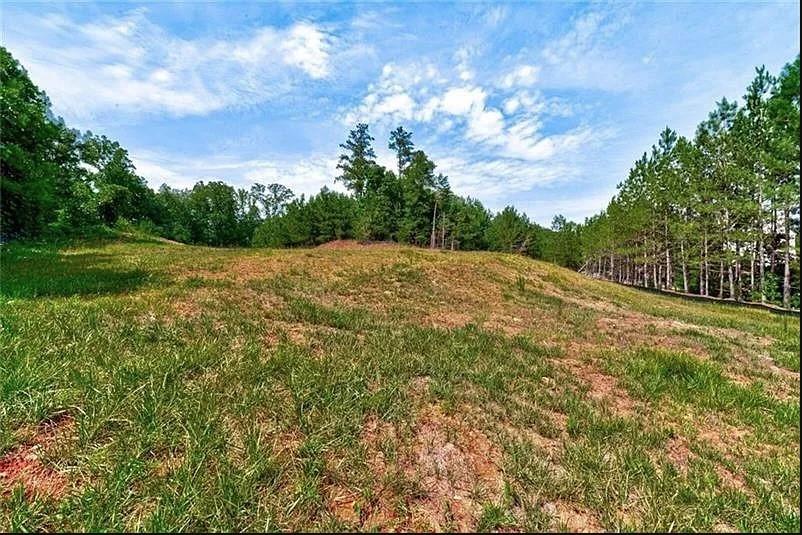 307 Timberview Trail Alpharetta, GA 30004 - Photo 11 of 12