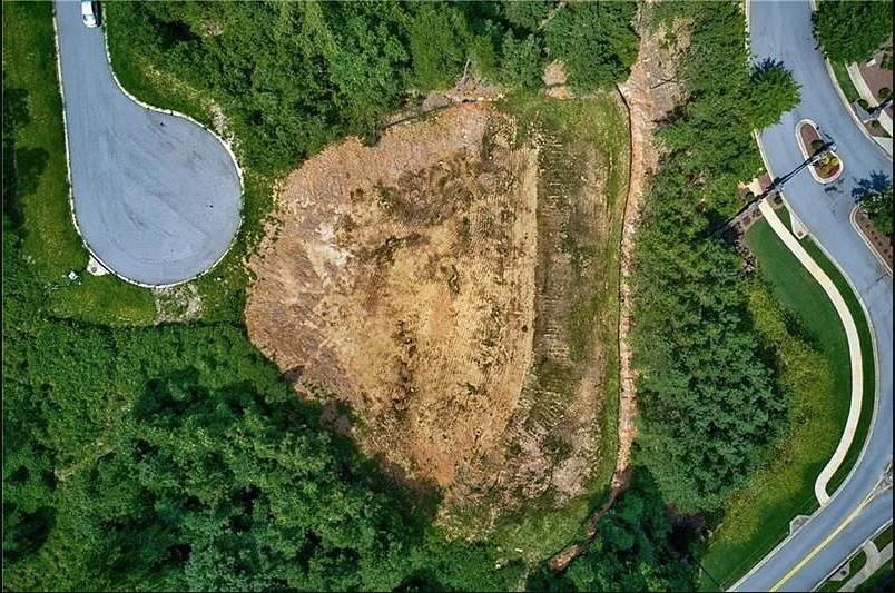 307 Timberview Trail Alpharetta, GA 30004 - Photo 12 of 12 an aerial view of a house with a yard