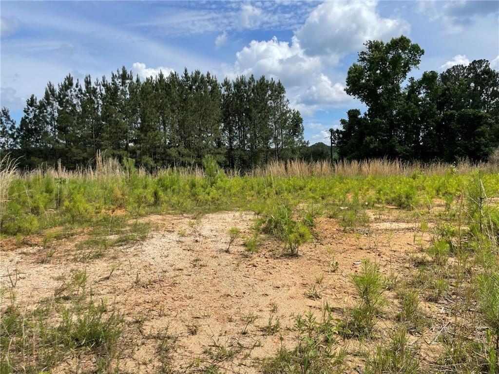 307 Timberview Trail Alpharetta, GA 30004 - Photo 7 of 12 a view of lake