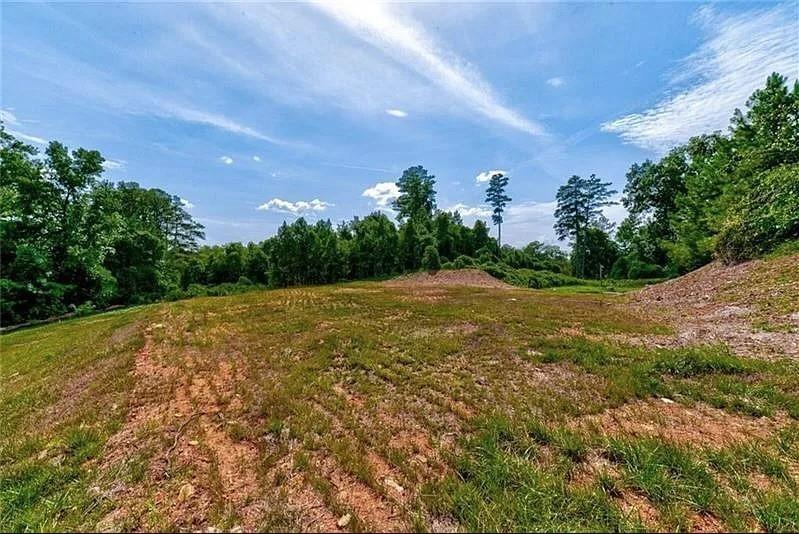 307 Timberview Trail Alpharetta, GA 30004 - Photo 8 of 12 a view of a field with an trees