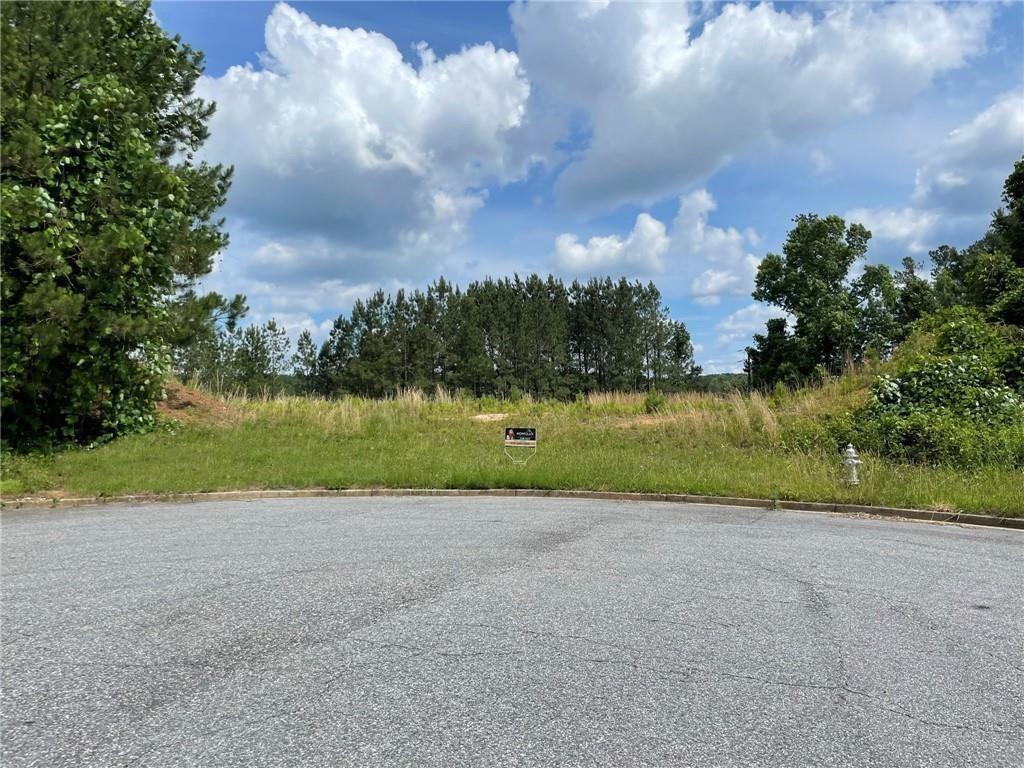 307 Timberview Trail Alpharetta, GA 30004 - Photo 9 of 12 a view of a lake