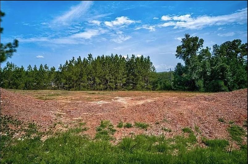 307 Timberview Trail Alpharetta, GA 30004 - Photo 10 of 12 a view of outdoor space and yard