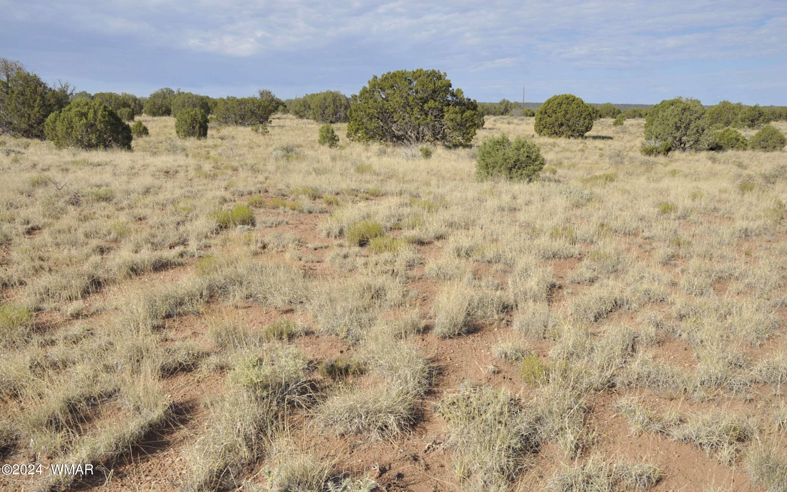4500 Mountain View Road Snowflake, AZ 85937 - Photo 7 of 9 7