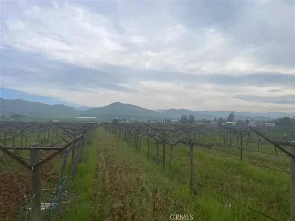 a view of a lake with a mountain in the background