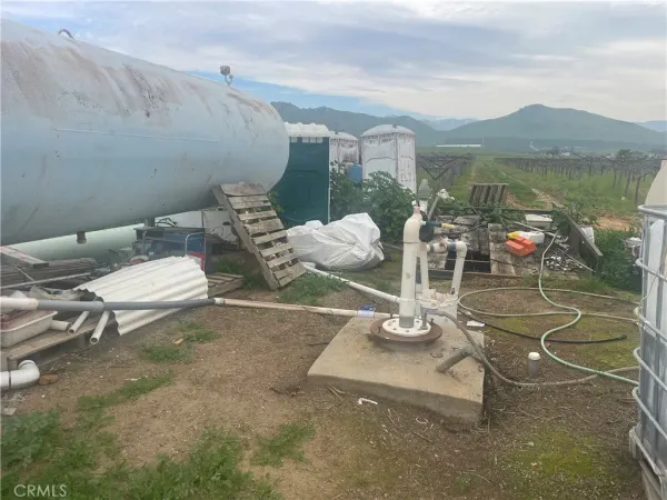 a room with lots of potted plants
