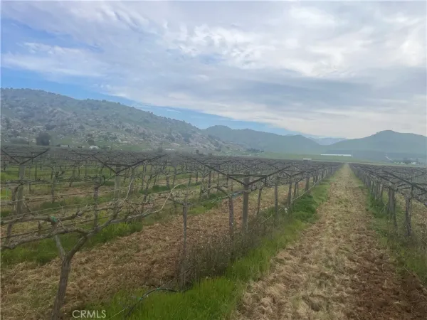 a view of a field with an outdoor space