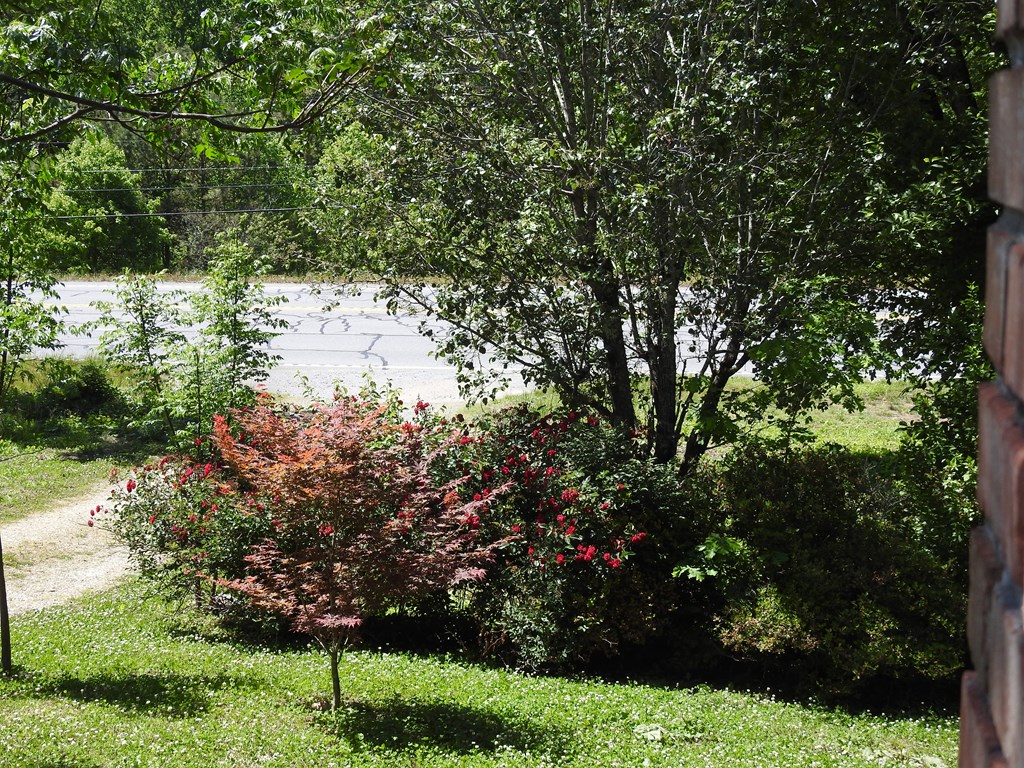 9503 Tails Creek Road Ellijay, GA 30540 - Photo 43 of 49 Gallery Image 43
