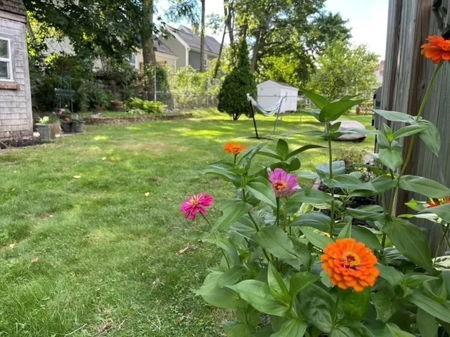 a backyard of a house with lots of green space