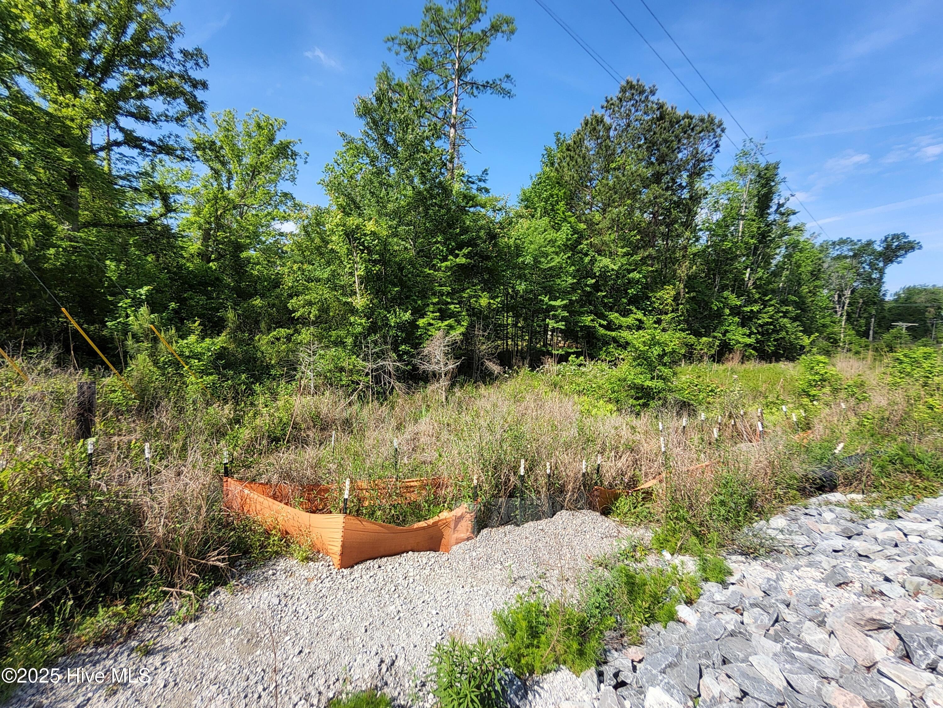 Lot 0 State Highway Hampstead, NC 28443 - Photo 4 of 10 1000000458