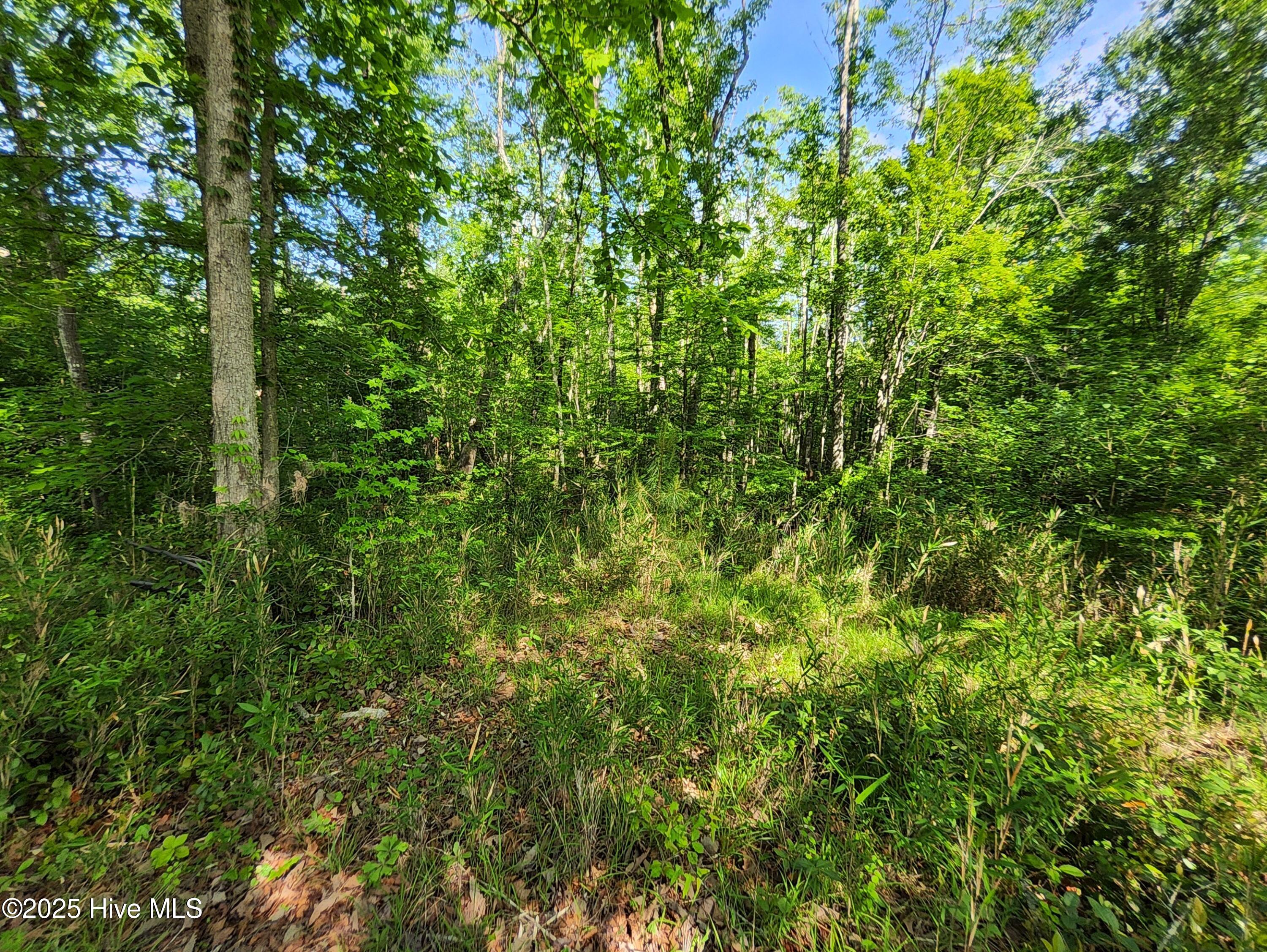 Lot 0 State Highway Hampstead, NC 28443 - Photo 6 of 10 1000000465