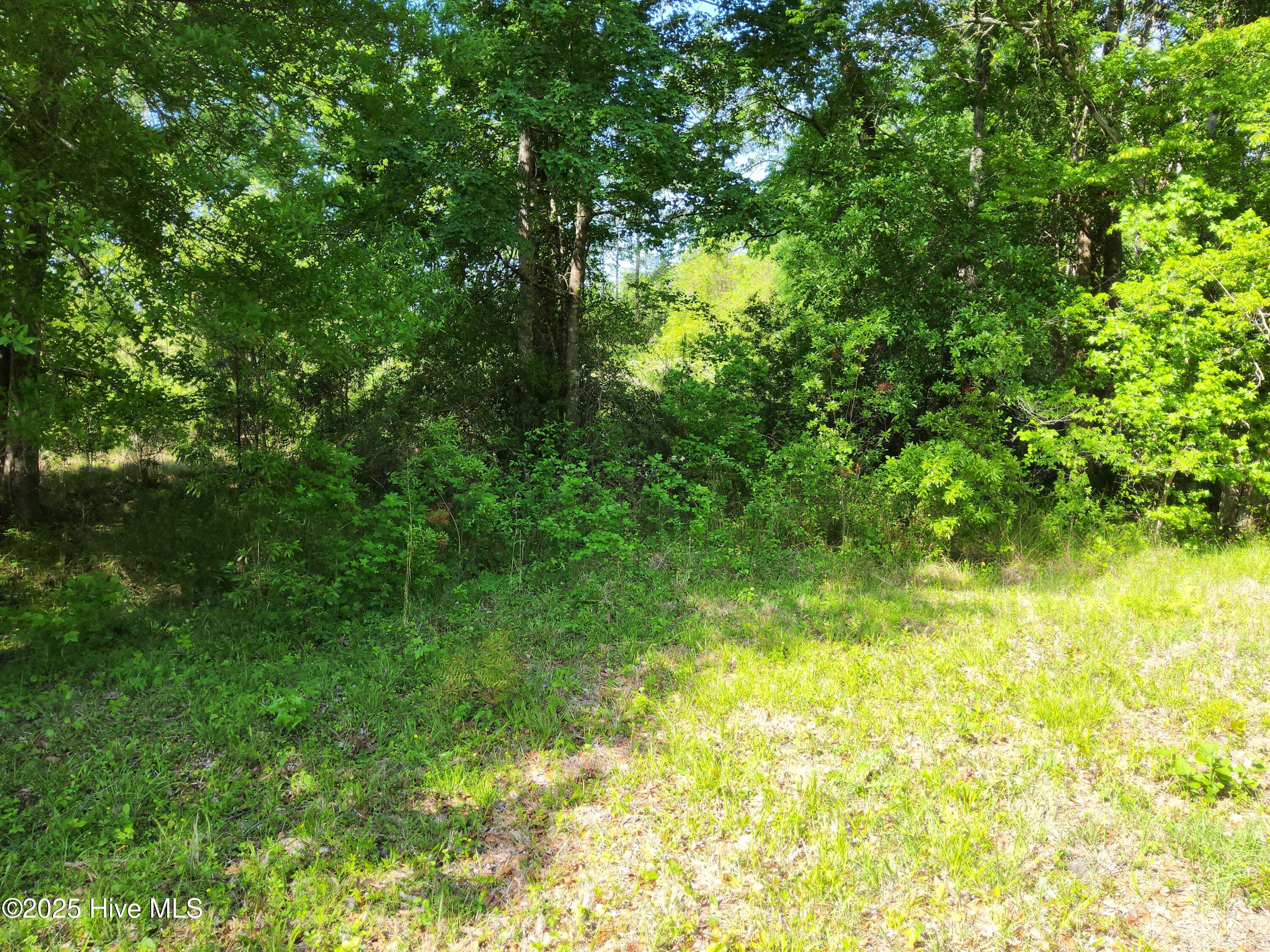 Lot 0 State Highway Hampstead, NC 28443 - Photo 7 of 10 1000000464