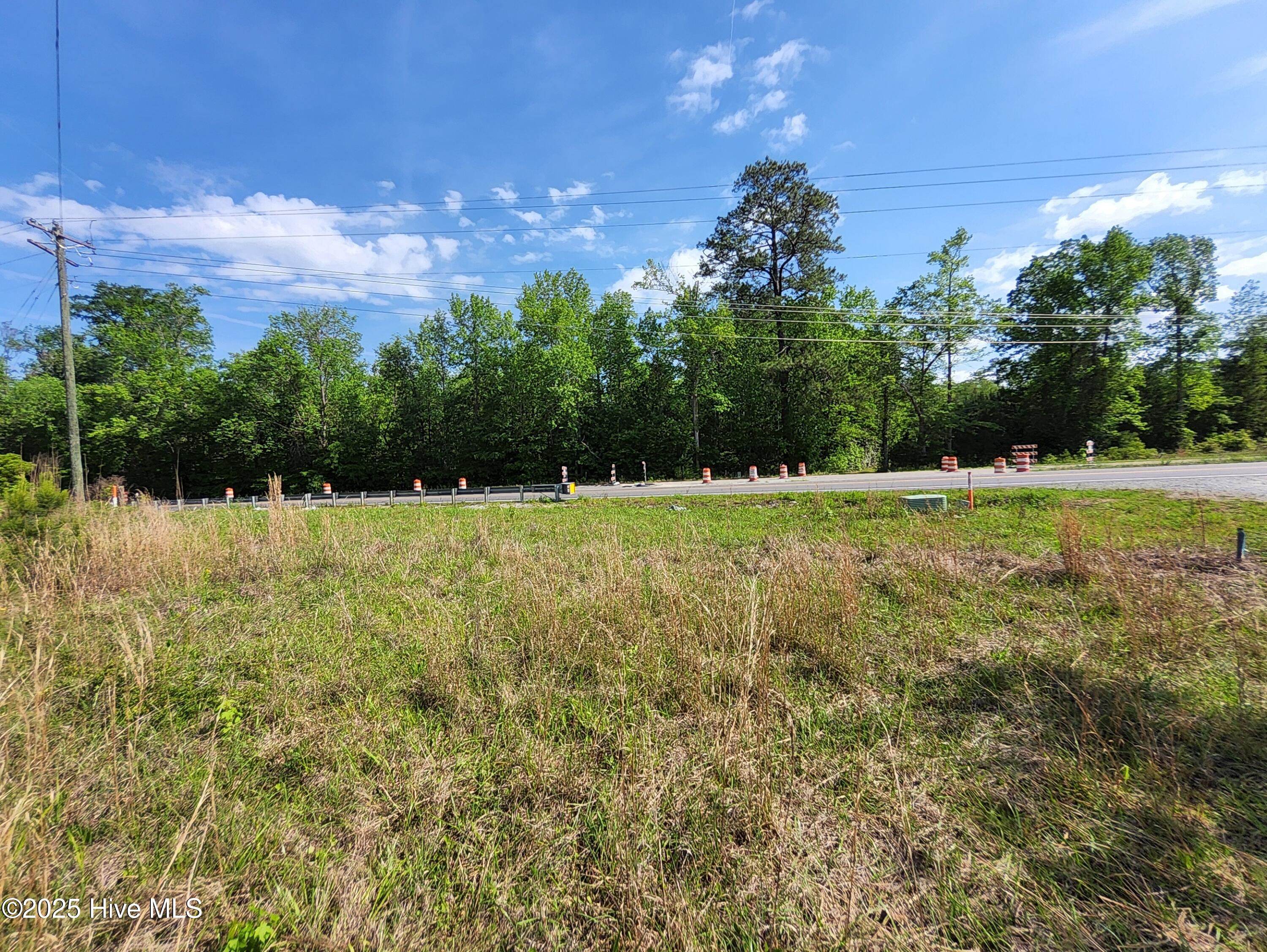Lot 0 State Highway Hampstead, NC 28443 - Photo 8 of 10 1000000467